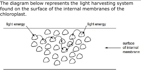 <p>How is light harvested in the chloroplast membrane (5)</p>