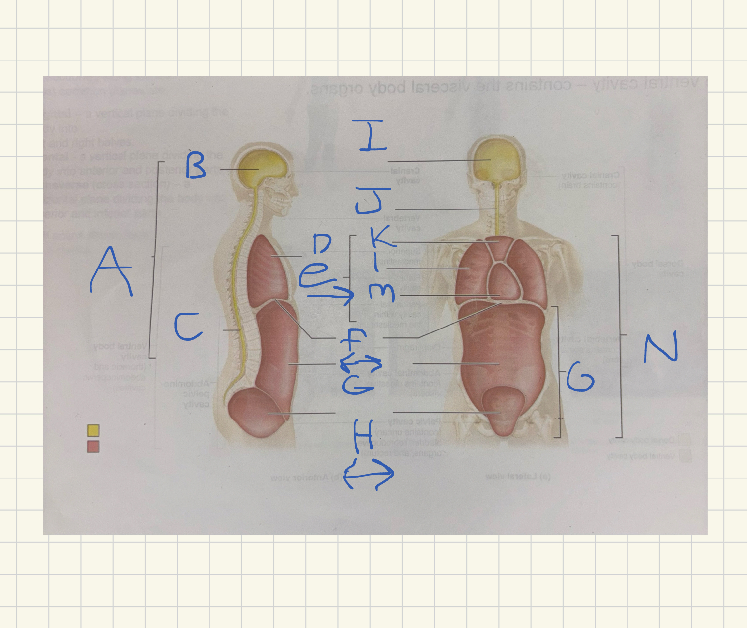 <p>What is letter a</p>