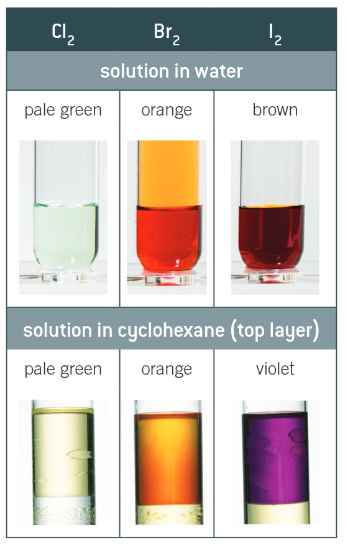 <p>organic non-polar solvent such as cyclohexane</p>
