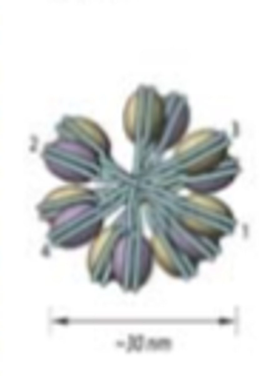 <p>due to the limited flexibility of DNA, straight linker DNA connects opposite nucleosomes</p>