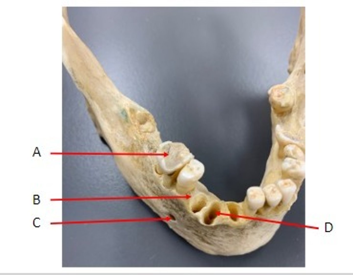 <p>Identify</p>