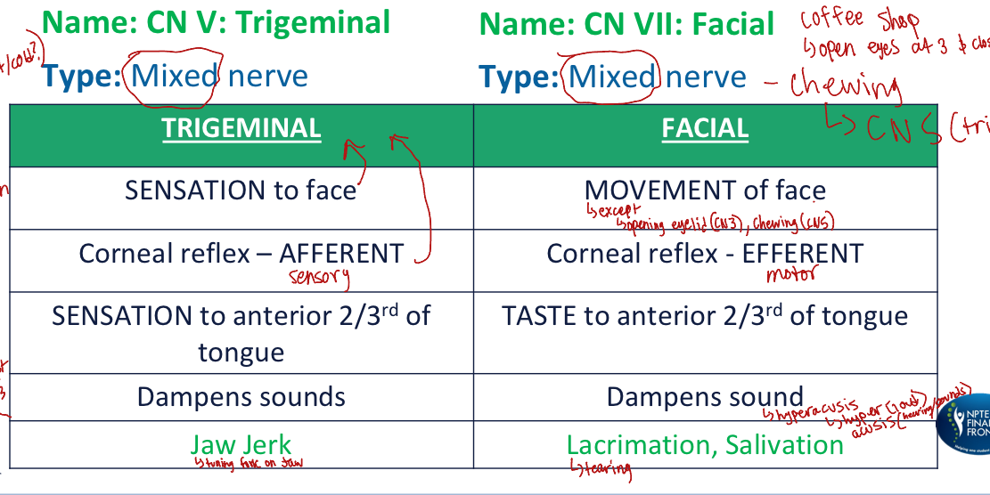 knowt flashcard image