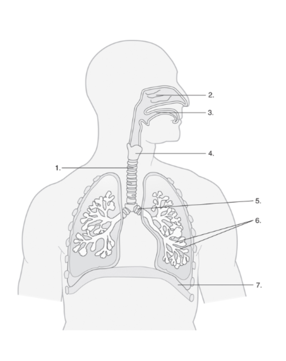 <p>5</p>