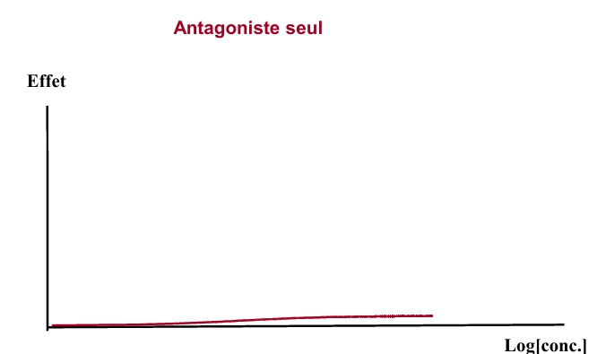 <p>se lie au ligand et ne provoque pas de réaction</p><p>→ quasi aucune réaction</p><p>un antagoniste n’aura d’effet que dans un système où il y a déjà stimulation du système!</p>