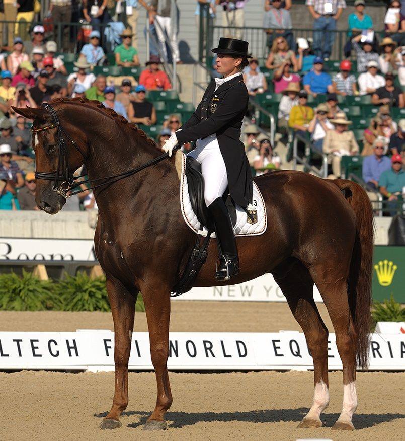 <ul><li><p>Sport Horse Breed</p></li><li><p>This breed: </p><ul><li><p>Hanover, Germany</p></li><li><p><span style="color: red"><strong>War horses, olympics</strong></span></p></li><li><p>Riding, driving, hunting, jumping, dressage, utility purposes</p></li><li><p>Calm level-headed in difficult situations</p></li><li><p>Stamina and hardy</p></li><li><p>16.2 hands</p></li><li><p>1,200 lbs</p></li></ul></li></ul><p></p>