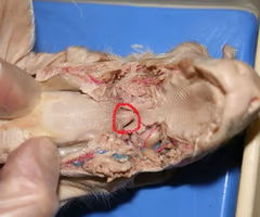 <p>What is the arrow pointing to? What’s it function? </p>