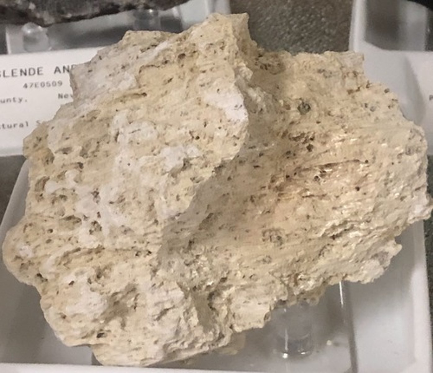 <p>pumice</p>