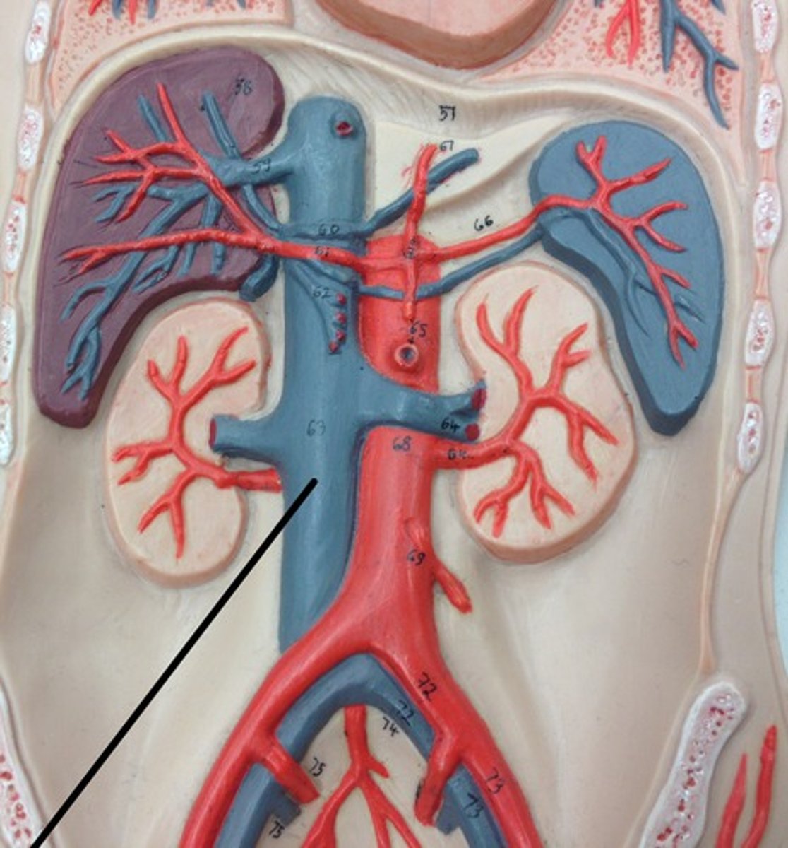 <p>What structure?</p>