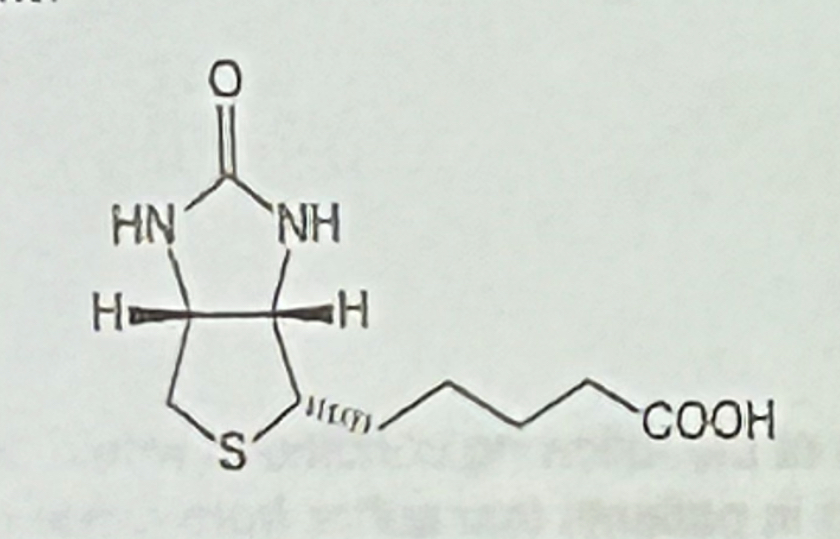 <p>Which description fits the vitamin shown to the rights?</p><p>a. acts as an acyl group carrier</p><p>b. readily forms a carbanion</p><p>c. acts as a carboxyl group carrier</p><p>d. forms a Schiff base</p><p>e. participates in redox reactions</p>