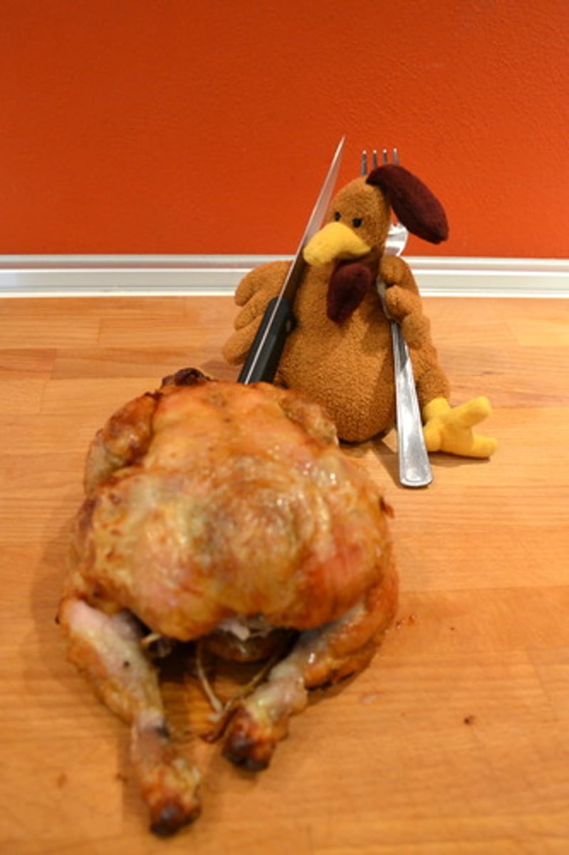 <p>/ˈkæn.ɪ.bəl.ɪ.zəm/ (n)<br>the practice of a person who eats human flesh, or the behaviour of an animal that eats others of its own type:</p>