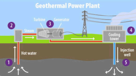 <p>thermal energy from the interior of the earth</p>