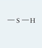 <p>What is this functional group and describe it?</p>