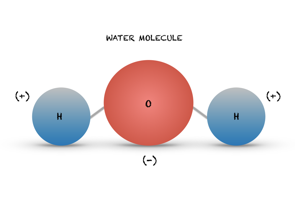 <p></p><ul><li><p>Oxygen (O): slightly negative (δ⁻)</p></li><li><p>Hydrogens (H): slightly positive (δ⁺)</p></li><li><p>Polar covalent bonds: the O–H bonds are polar because oxygen pulls electrons toward itself</p></li></ul><p></p>