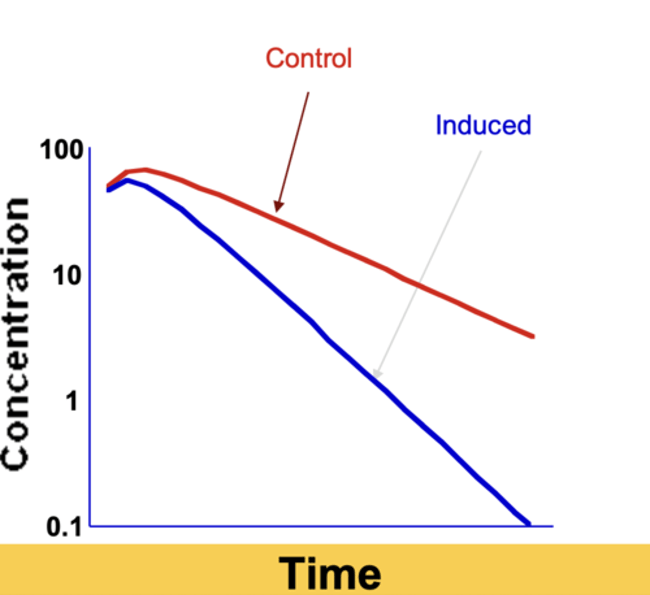 <p>half-life decreases</p>