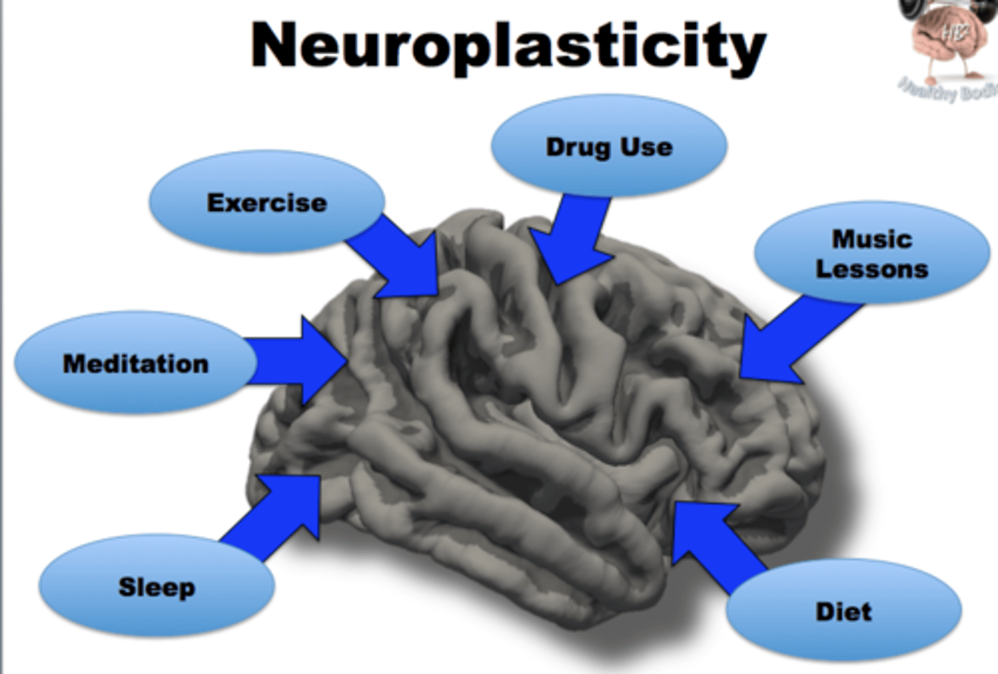 <p>The brain's ability to reorganize itself by forming new neural connections throughout life. The brain can grow and change!</p>