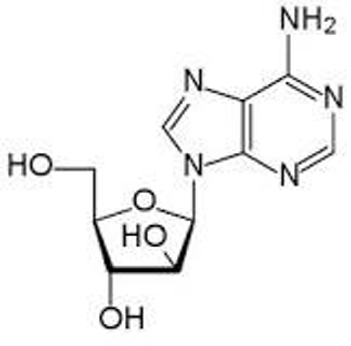 <p>Looks like Adenosine</p>