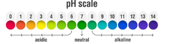 <p>It is the decrease in pH of ocean waters, and it is due primarily to increased greenhouse gas concentration in the atmosphere, specifically carbon dioxide, CO2.</p><p>The more CO2 is released into the atmosphere, the more the oceans absorb it, lowering their pH through specific chemical reactions.</p><p>In the approximately 200 years since the beginning of the induction revolution, the pH of the ocean has fallen by 0.1 pH units, from a pre-1800’s level of 8.2 to today’s measures of 8.1.</p><p>The pH scale is logarithmic— each jump of 1 on the scale represents a ten-fold changes in the concentration of hydrogen (h+) ions— so this drop actually  represents about a 30% increase in acidity. </p>