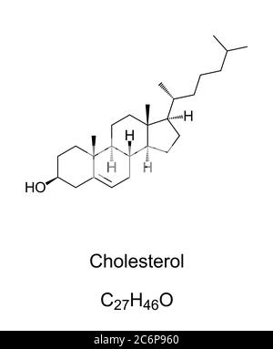 <p>sterols</p>