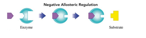 <ul><li><p>changes the shape of the active site to prevent proper binding of the substrate</p></li><li><p>decreases rate of reaction</p></li></ul>