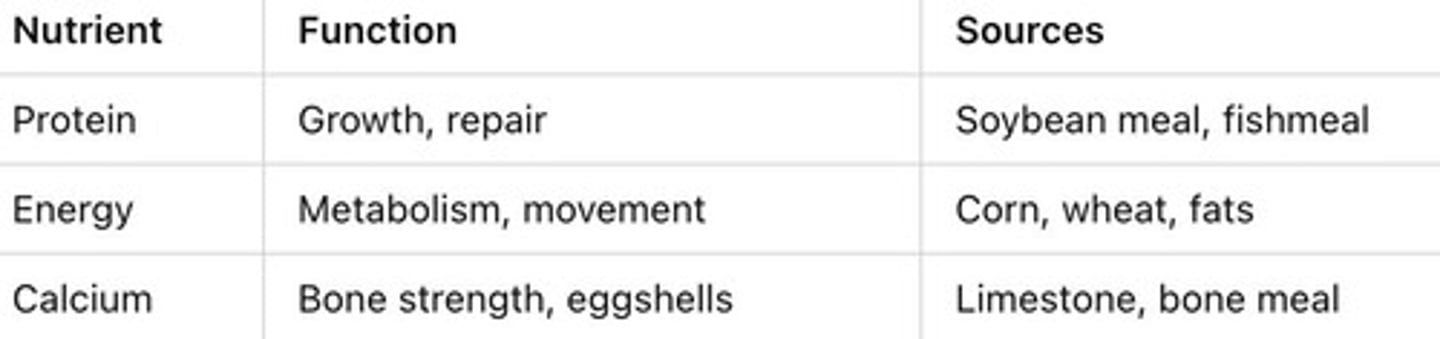 <p>Main Nutrients for feed</p>
