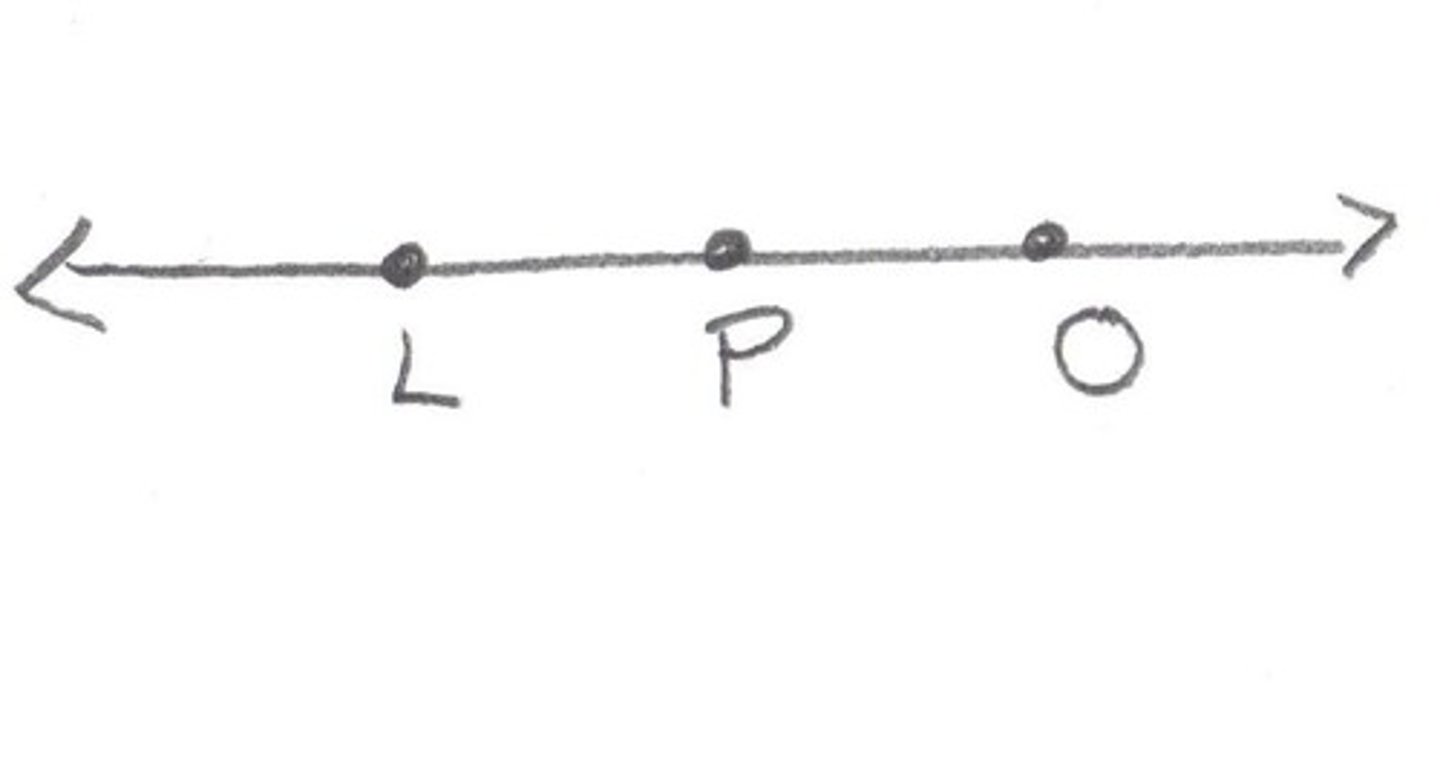<p>points that lie on the same line</p>