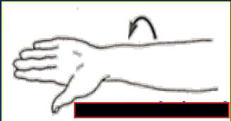 <p>What Movement is occurring?</p>
