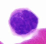 <p>what is this</p>