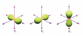 <p>P-orbital</p>