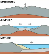 <p>MATURE </p><ul><li><p>divergence with little subduction</p></li><li><p>ocean basin with an active mid ocean ridge</p><p>result: ocean basin with continental margin &amp; mid ocean ridge </p><p>Ex: Atlantic and Artic Oceans </p></li></ul><p></p>