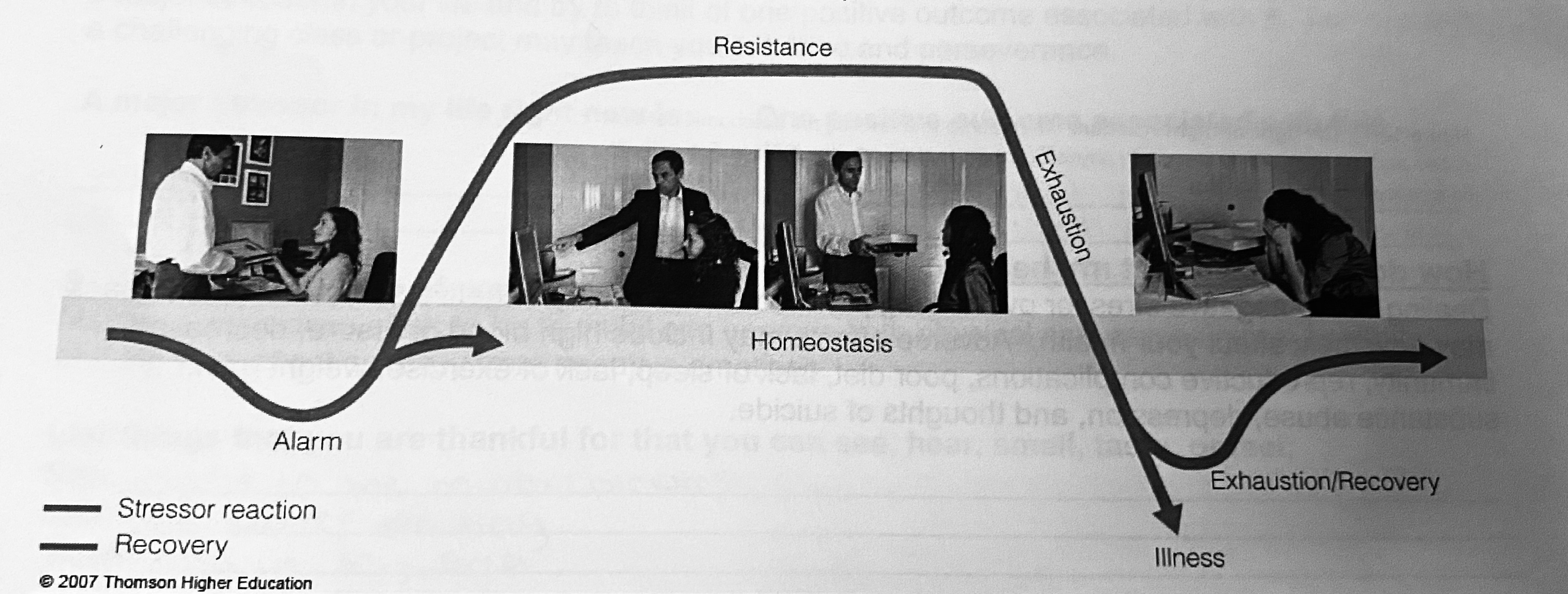 <p>Stage 1 - Alarm: fight or flight response is initiated</p><p>Stage 2 - Resistance *achieve a new level of homeostasis: you start to adapt and achieve a new level of homeostasis, (e.g., freshman may find a speech stressful; seniors have adapted and no longer find it as stressful).  Having some stressors in your life can lead to positive adaptations.</p><p></p><p>Stage 3 - Exhaustion *burnt out and decrease in performance: If you have back to back or persistent stressors you may enter the exhaustion stage.  This is not the same as feeling tired at the end of the day.  This is absolute burnout.  It can lead to depression, suicide, extreme anxiety and mood disorders, and a distorted perception of reality.  In the exhaustion stage, the body is under a constant state of stress.  Health and performance are adversely affected.</p><p></p><p></p><p>*right after the alarm in before the arrow is where fight or flight is activated</p><p>*the pointed peak between resistance and exhaustion if where it goes form EU to DIS</p><p>*know the diagram</p>