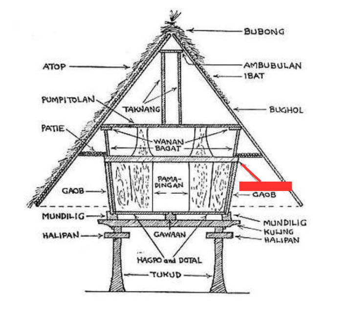 term image