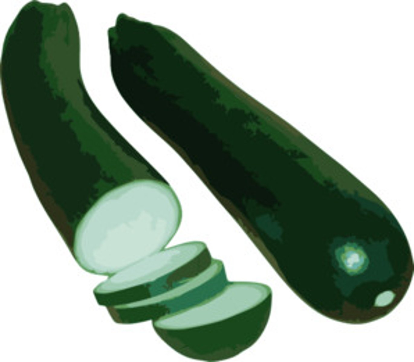 <p>zucchini</p>