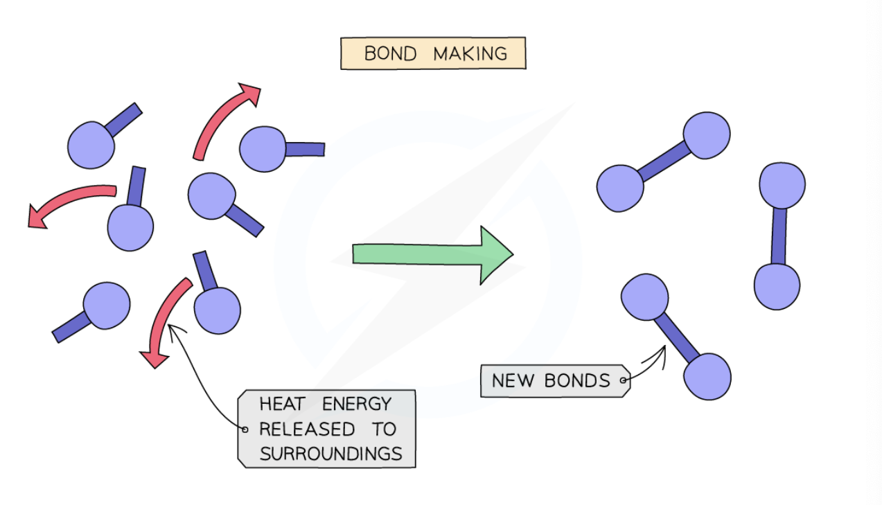 <p>why do exothermic reactions have a negative change in energy?</p>