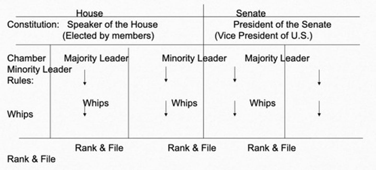 <p>To ensure institutional coherence, set chamber agendas, build coalitions, and liaise with the other chamber and the President.</p>