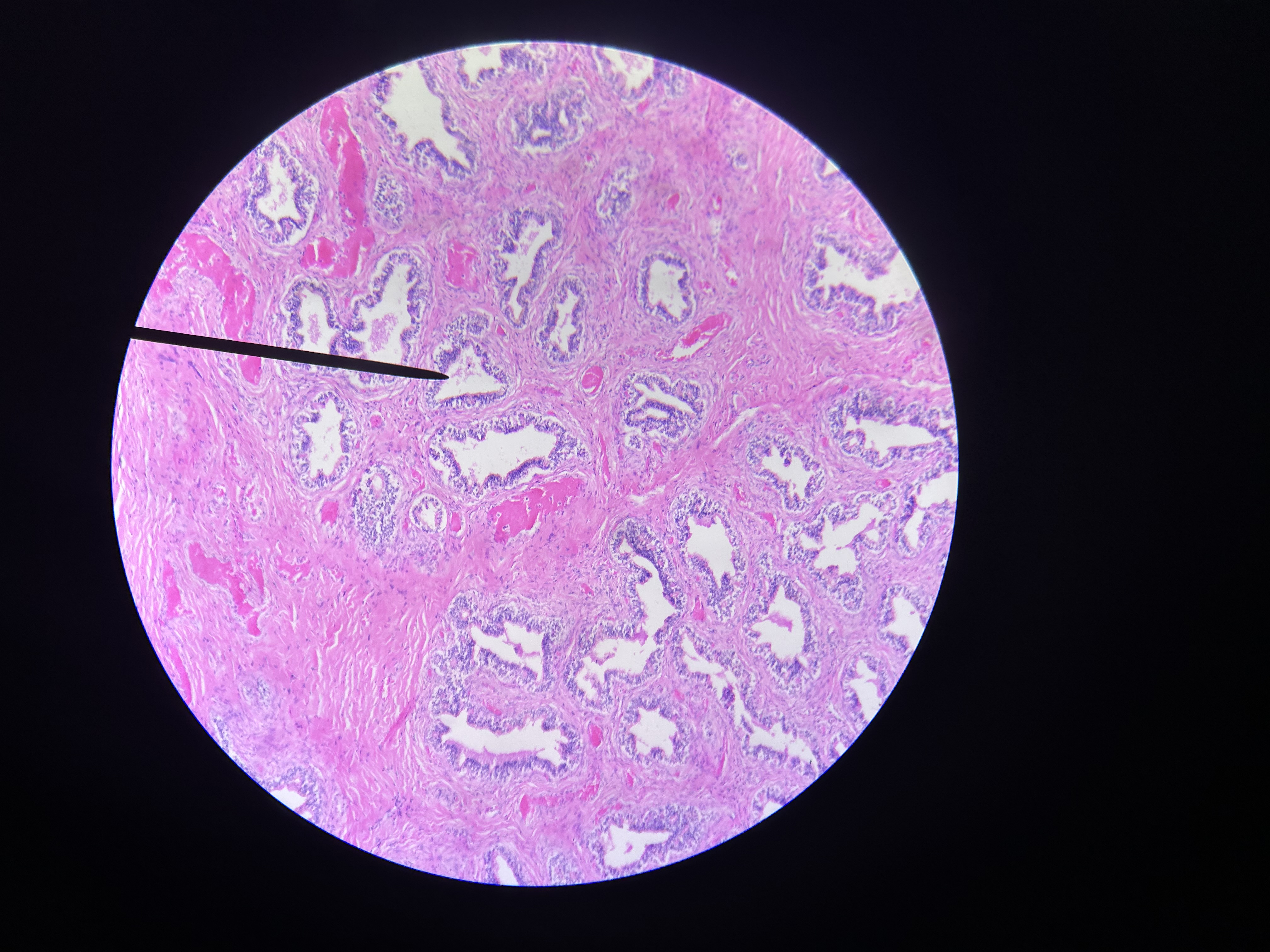 <p>What is this?</p>