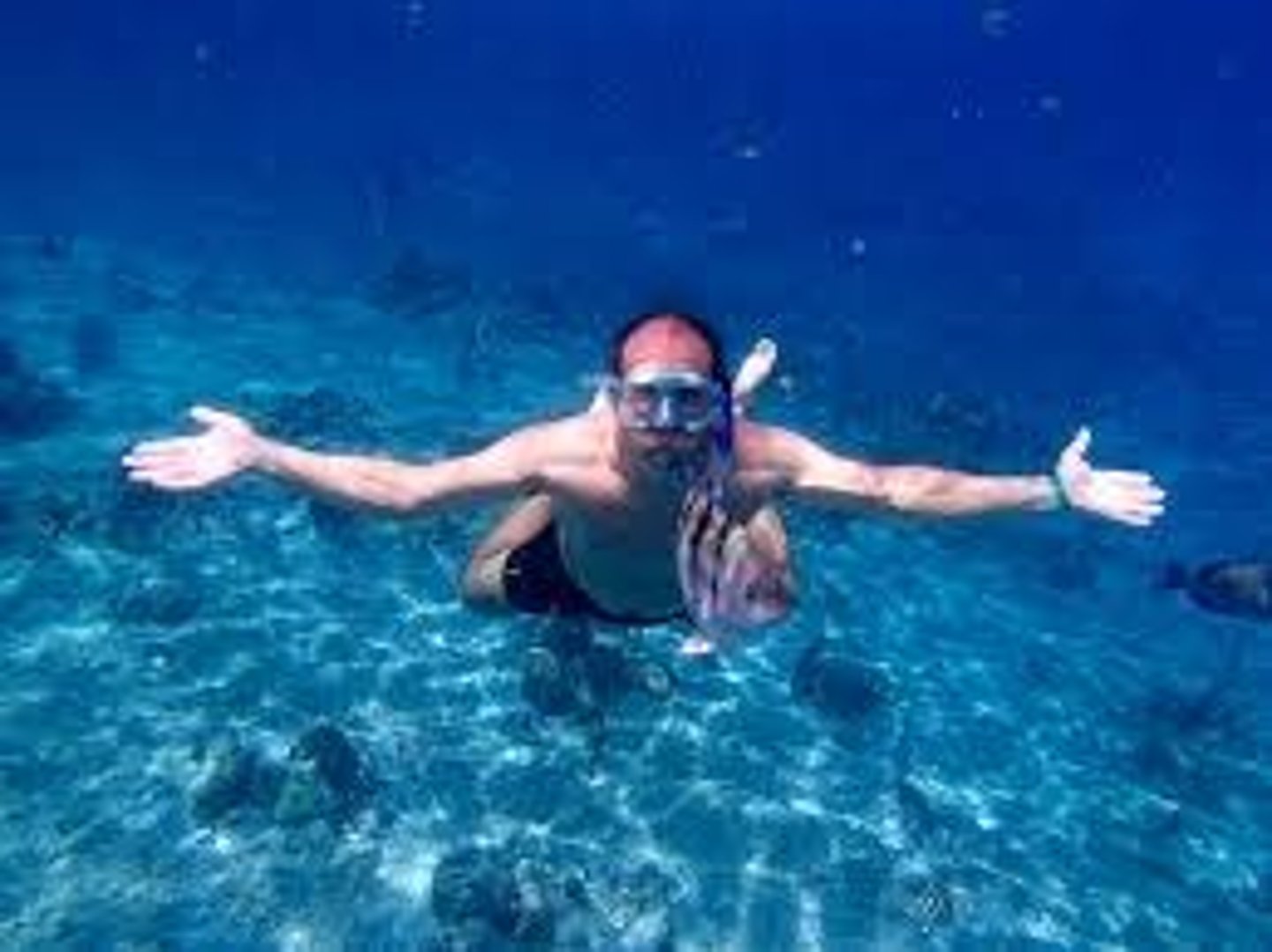 <p>to swim in the ocean</p>