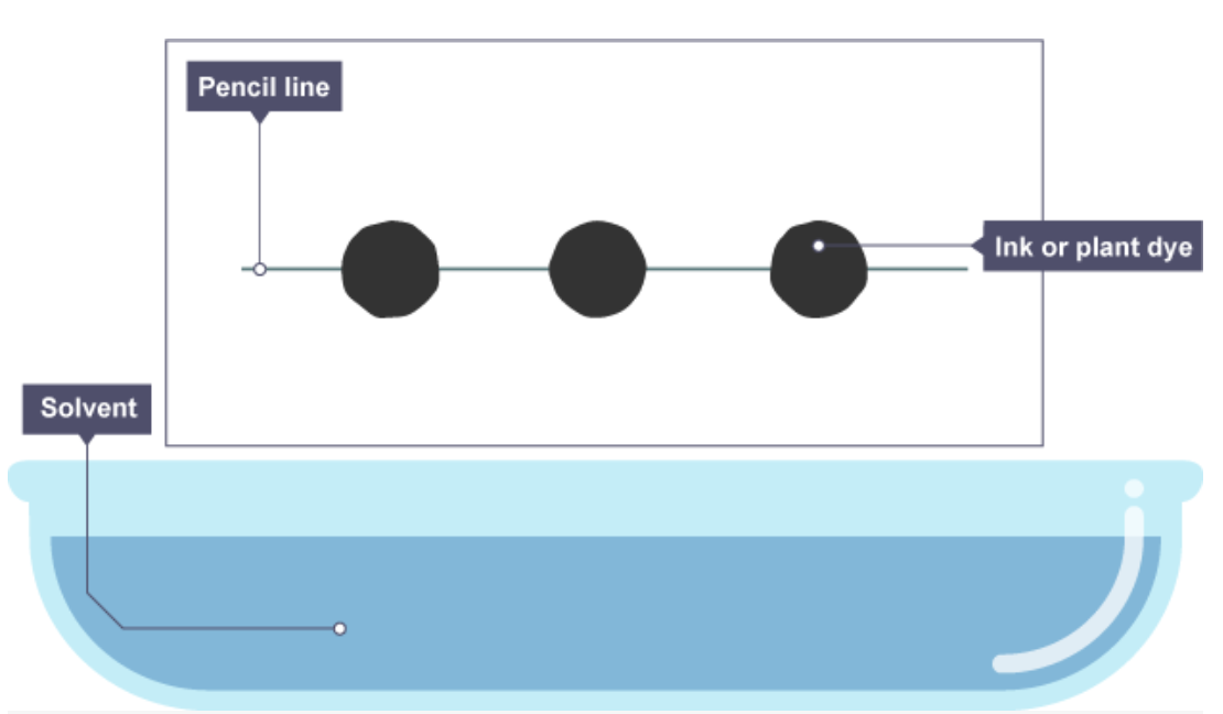 <p>Explain chromatography</p>