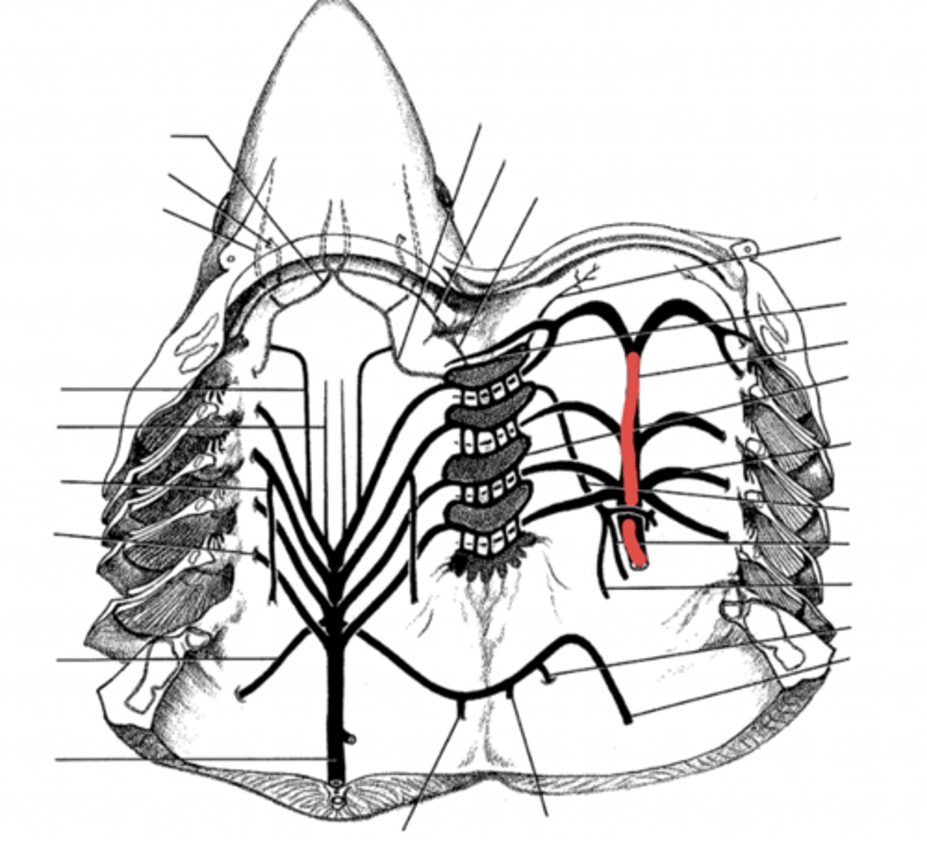 <p>what is this?</p>