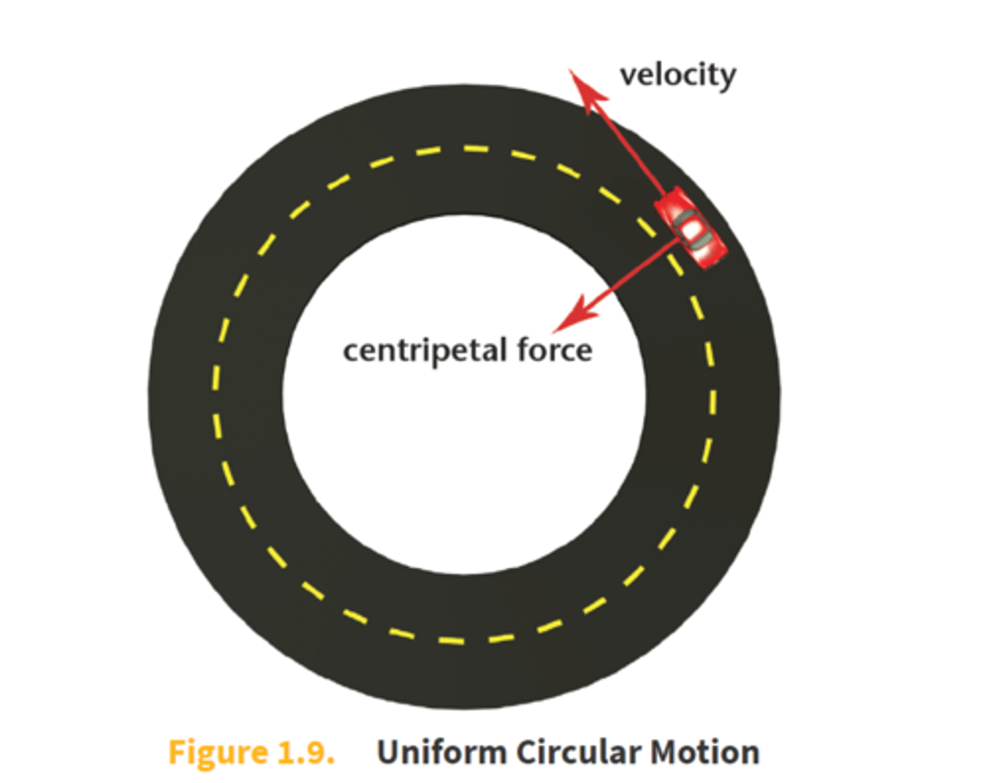 <p>a force that acts on a body moving in a circular path and is directed toward the centre around which the body is moving.</p>