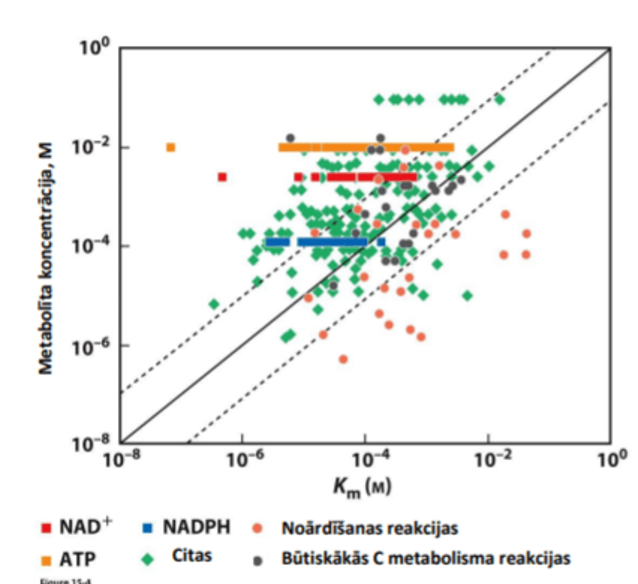 <p>Daudzu enzīmu Km būs tuva vai lielāka nekā substrāta fizioloģiskā koncentrācija.</p><p>Īpaši enzīmiem, kas strādā ar ATF vai NAD(H)</p>