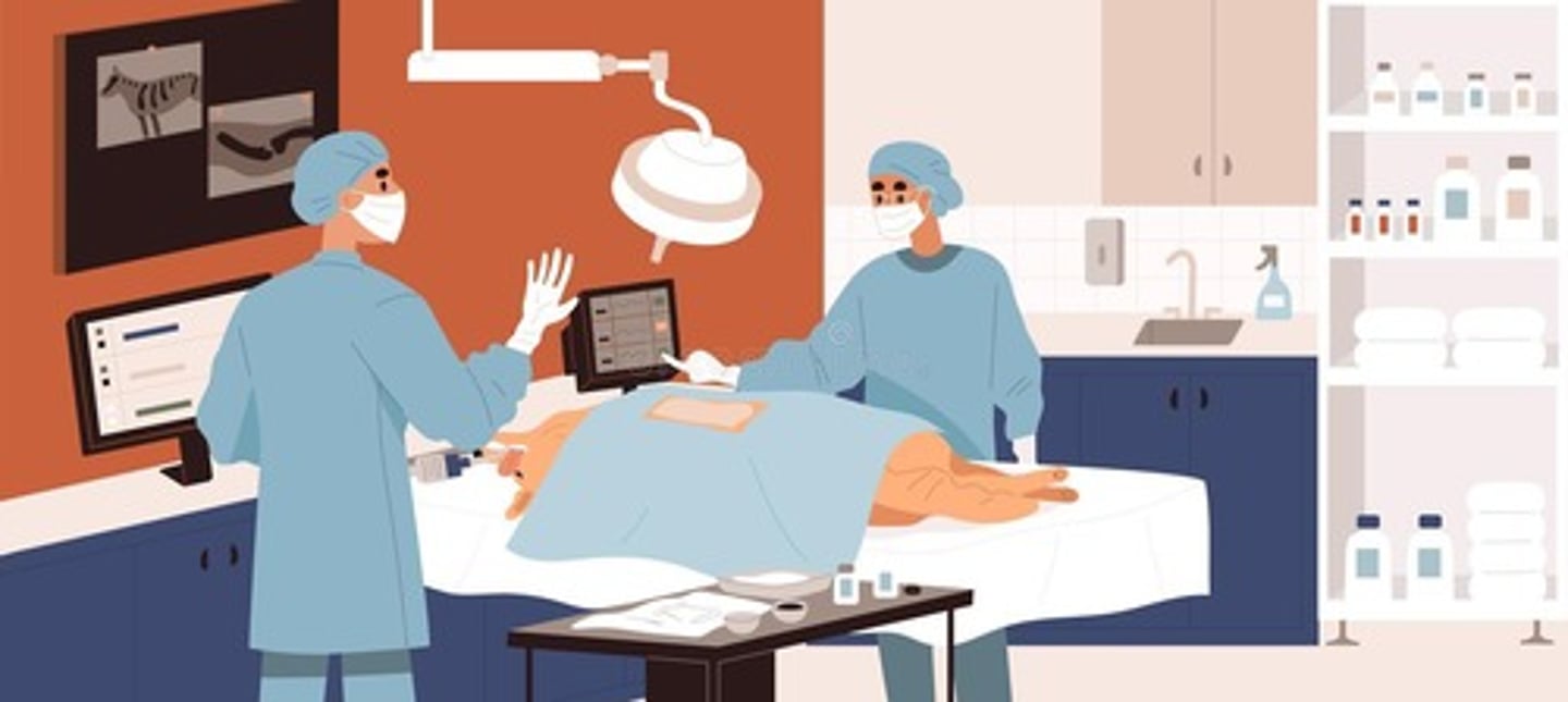 <p>Sustaining anesthesia during surgical procedures.</p>