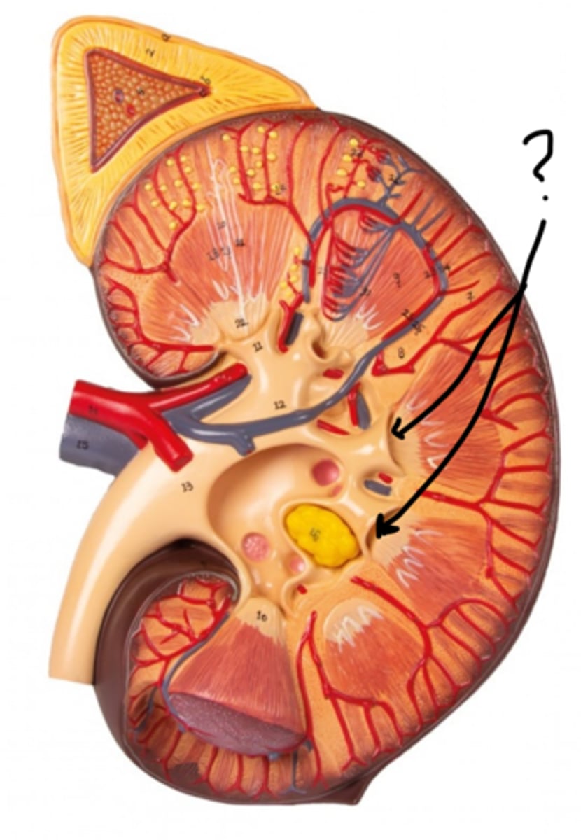 <p>Name this space.</p>