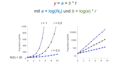 <p><span>Durch halblogarithmische Darstellung wird exponentielles Wachstum linearisiert</span></p><p><span style="font-family: &quot;Calibri&quot;, sans-serif">→ Wenn durch Halblogarithmisierung keine Gerade entsteht ist Wachstum nicht exponentiell</span></p>