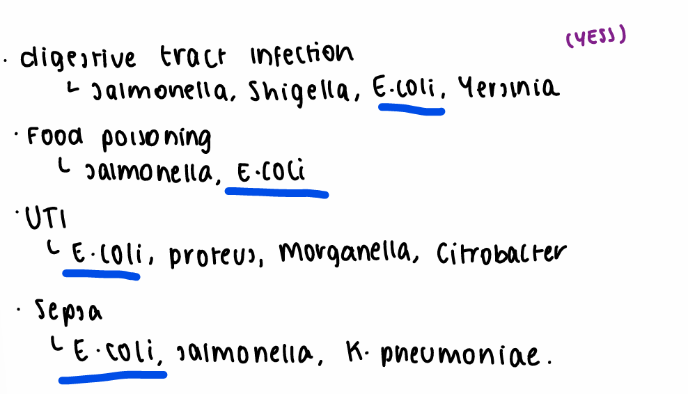 <p>E. coli</p><p>salmonella</p><p>Yesenia</p><p>shigella</p><p>pneumoniae</p>