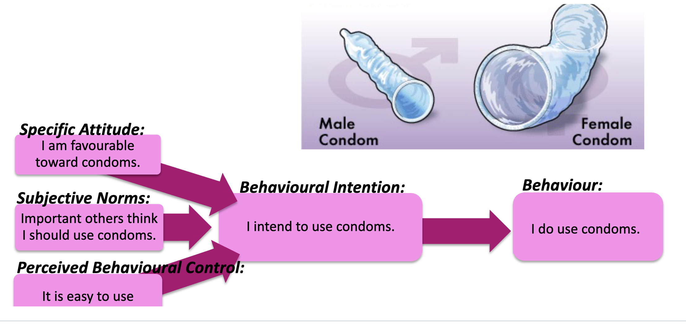 <p>explains individuals behaviour as resulting from intentions which are influenced by attitudes norms and perceived behavioural control </p>