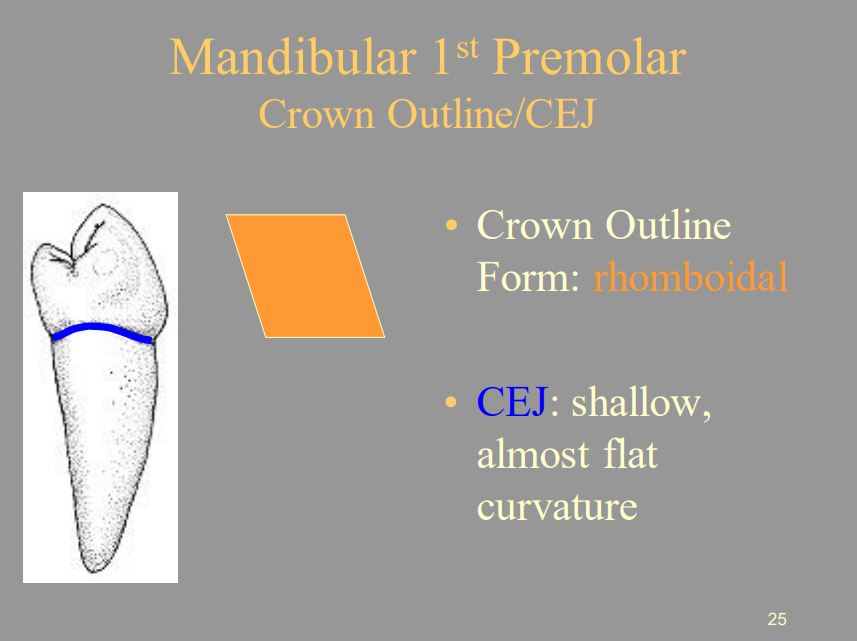 <p>B) Shallow, Almost Flat</p>