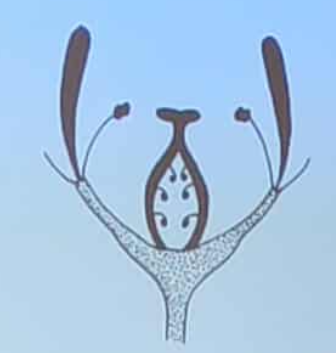 <p>umieszczenie słupka na dnie kwiatowym</p>