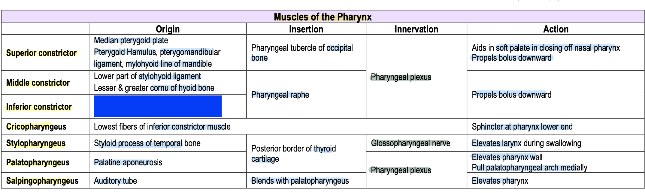 knowt flashcard image