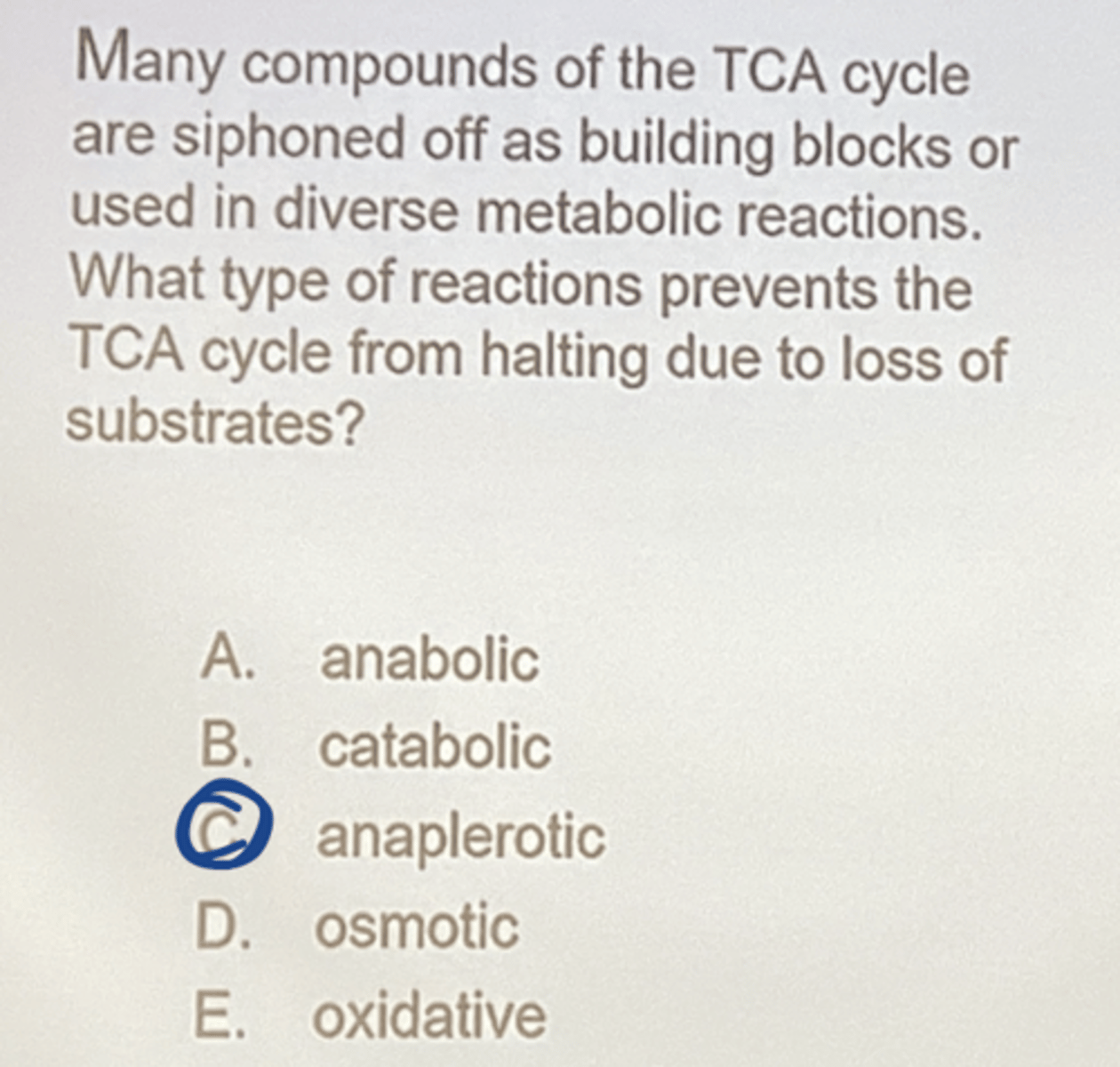 <p>anaplerotic</p>