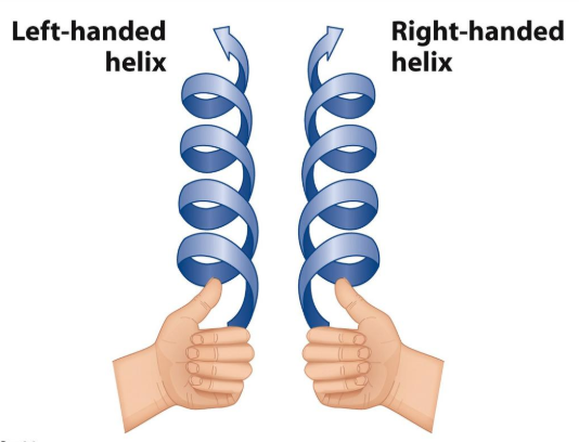 <p>Alpha Helix Overview</p>